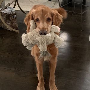 Meet your Posher, Matt